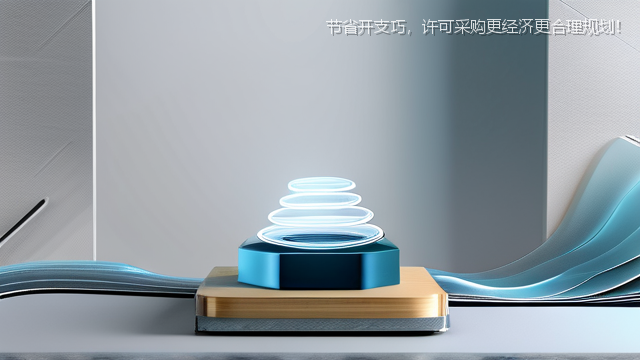 节省开支巧，许可采购更经济更合理规划！